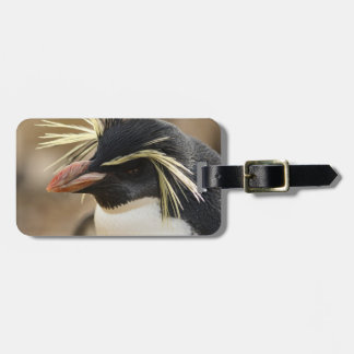 Rockhopper Penguin Luggage Tag