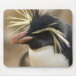 Rockhopper Penguin Mouse Pad