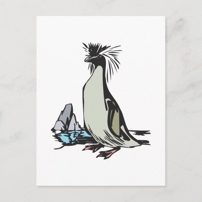 rockhopper penguin postcard (Front)