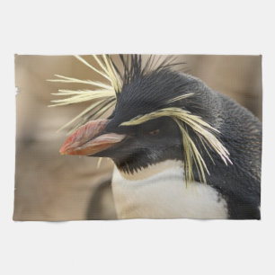 Rockhopper Penguin Towel