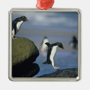 Rockhopper Penguins, Eudyptes chrysocome), Metal Tree Decoration