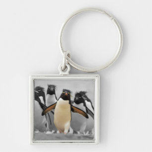 Rockhopper Penguins Key Ring
