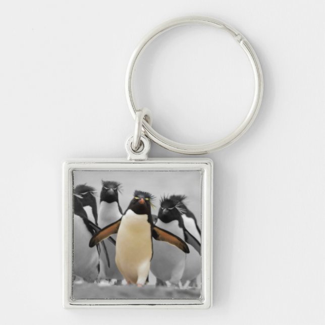 Rockhopper Penguins Key Ring (Front)
