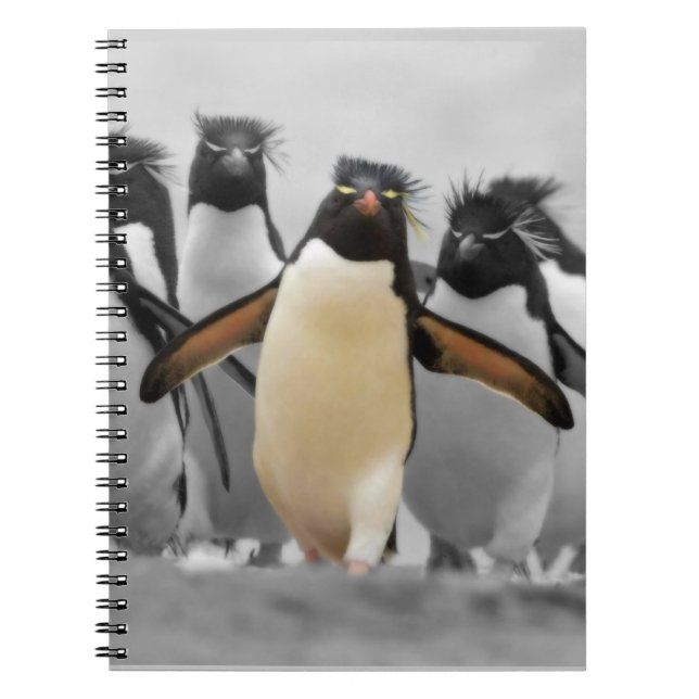 Rockhopper Penguins Spiral Notebook (Front)