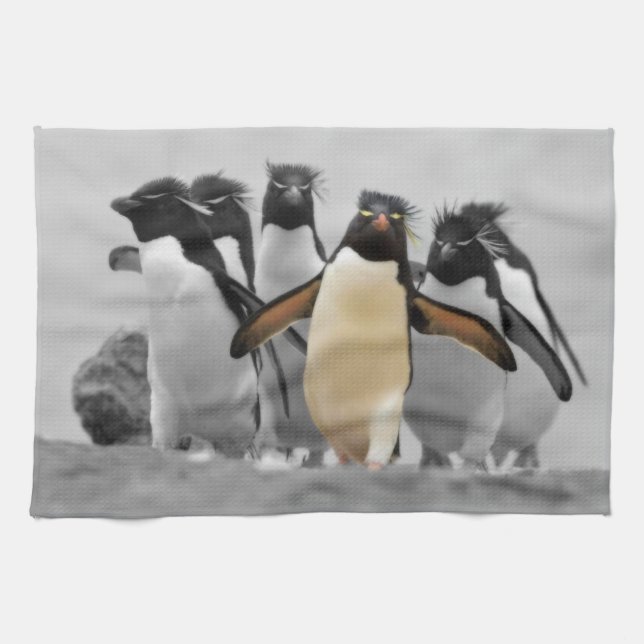 Rockhopper Penguins Tea Towel (Horizontal)