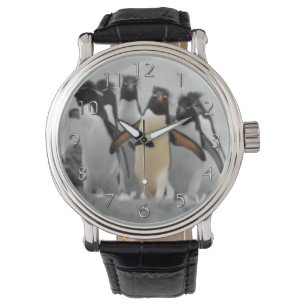 Rockhopper Penguins Watch