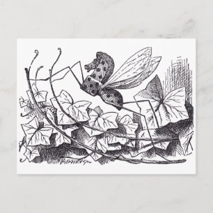 Rocking Horse Fly Postcard