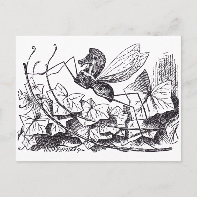 Rocking Horse Fly Postcard (Front)
