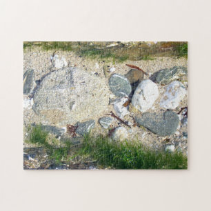 Rockpool jigsaw puzzle