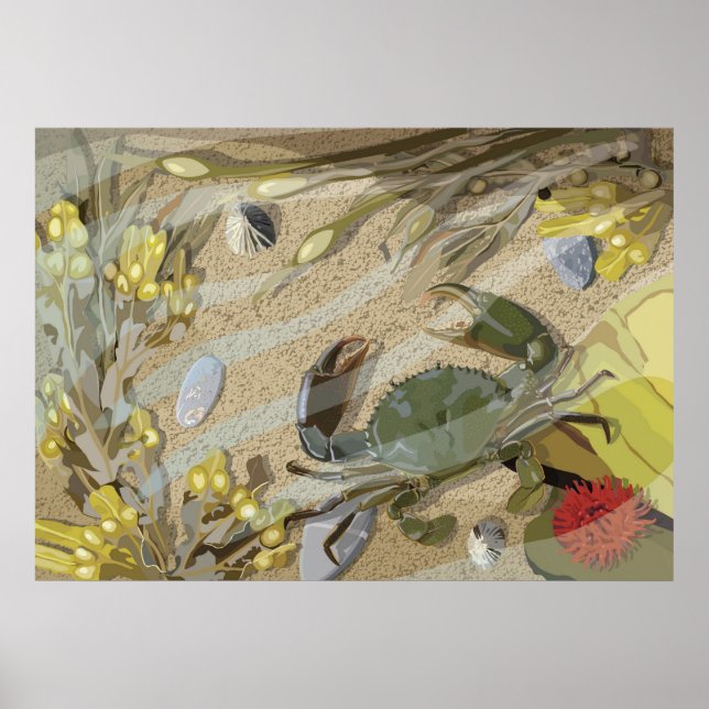 Rockpool Poster (Front)