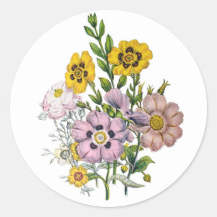 Rockroses Classic Round Sticker