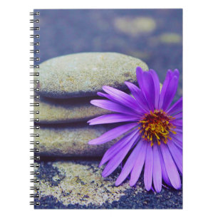Rocks and Daisy Notebook