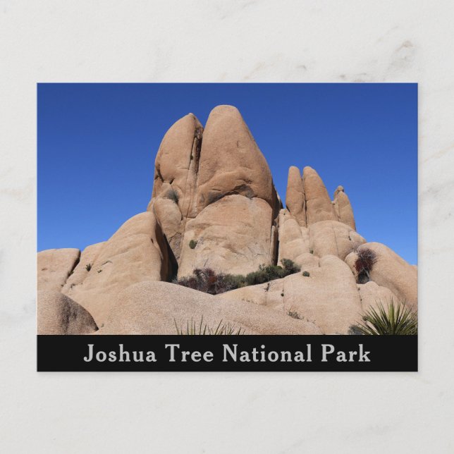 Rocks at Joshua Tree National Park Postcard (Front)