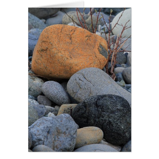 Rocks at Redwood Forest (Front)
