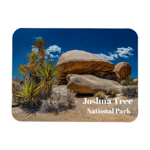 Rocks, Plants, Sand, Joshua Tree National Park, CA Magnet