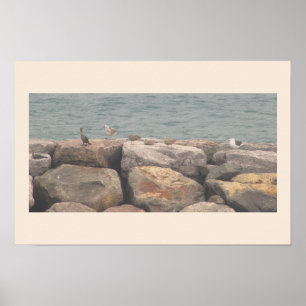 Rocks with Birds Ocean Waterscape Poster