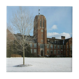 Rockwell in Winter at Grove City College Tile