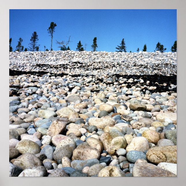 Rocky Beach Scene Poster (Front)