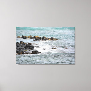 Rocky Coast Canvas Print