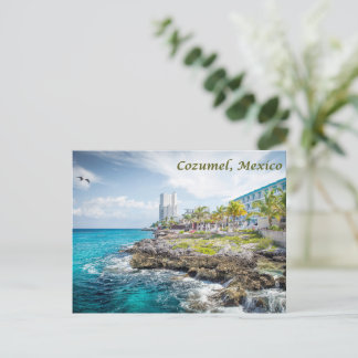 Rocky Coast of Cozumel, Mexico  Postcard