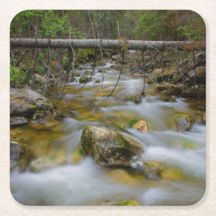 Rocky forest creek coaster