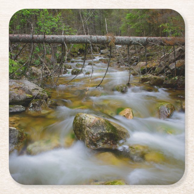 Rocky forest creek coaster (Front)