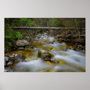 Rocky forest creek poster