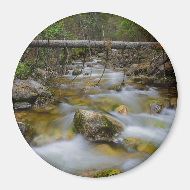Rocky forest creek round magnet (Front)