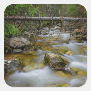 Rocky forest creek sticker