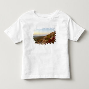 Rocky Hillside, Red Flowers, Acadia National Park Toddler T-Shirt