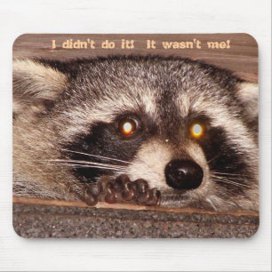 Rocky, I didn't do it!  It wasn't me! Mouse Pad