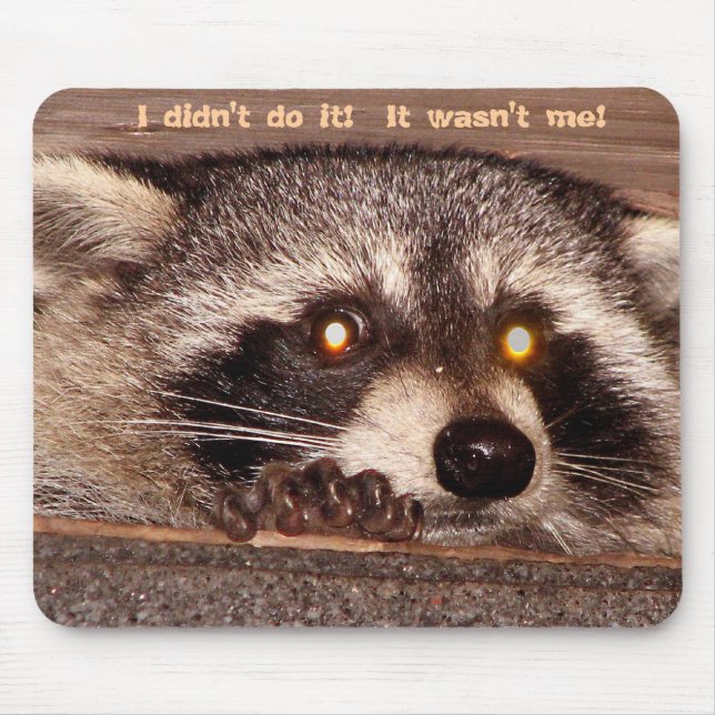 Rocky, I didn't do it!  It wasn't me! Mouse Pad (Front)