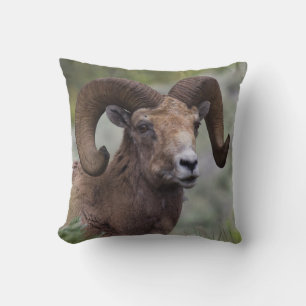 Rocky Mountain Bighorn Sheep Ram Cushion