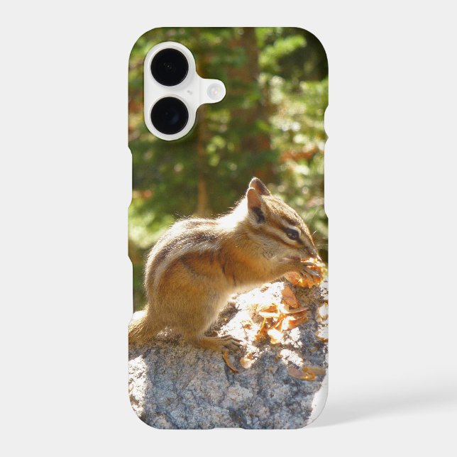 Rocky Mountain Chipmunk (Back)