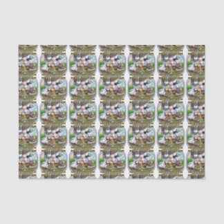 Rocky Mountain Club Logo Tissue Paper