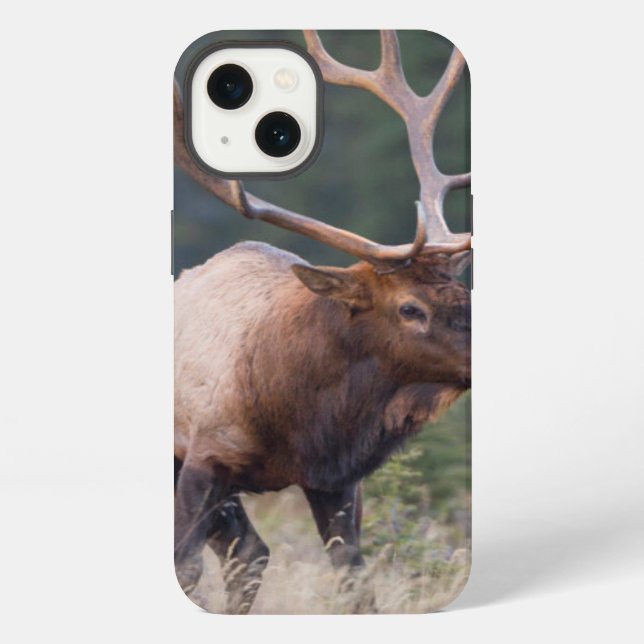 Rocky Mountain Elk iPhone Case (Back)