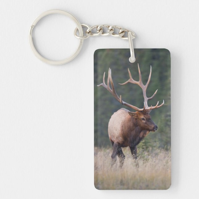 Rocky Mountain Elk Key Ring (Front)