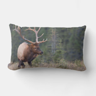 Rocky Mountain Elk Lumbar Cushion
