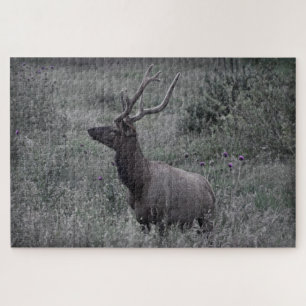 Rocky Mountain Elk - RMNP - 20x30 - 1014 pcs Jigsaw Puzzle