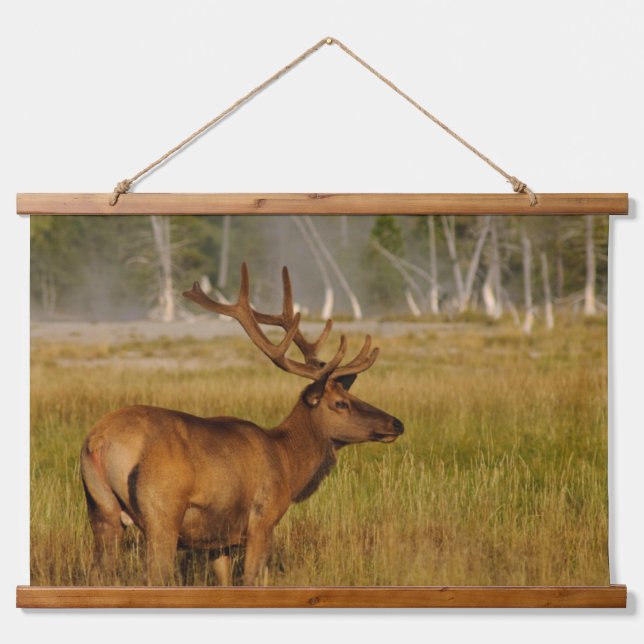 Rocky Mountain Elk | Yellowstone National Park Hanging Tapestry (Front)