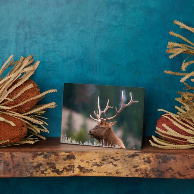 Rocky Mountain Elk Yellowstone National Park Plaque (Side)