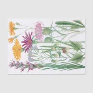 Rocky Mountain Flowers Custom Colour Tissue Paper