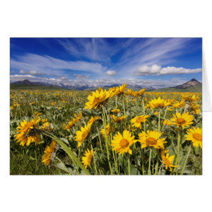 Rocky Mountain Front Range