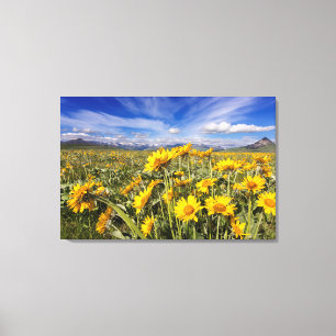 Rocky Mountain Front Range Canvas Print