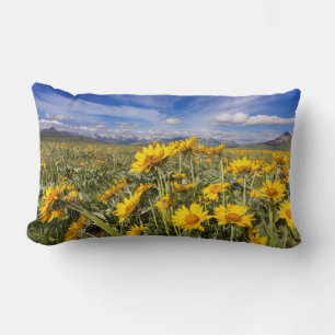 Rocky Mountain Front Range Lumbar Cushion