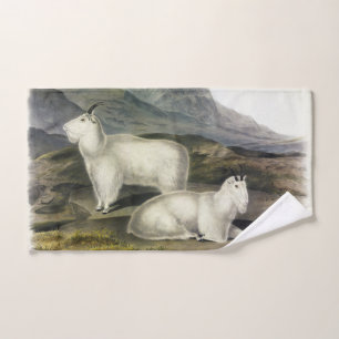 Rocky Mountain Goat (Capra Americana by Audubon Bath Towel Set