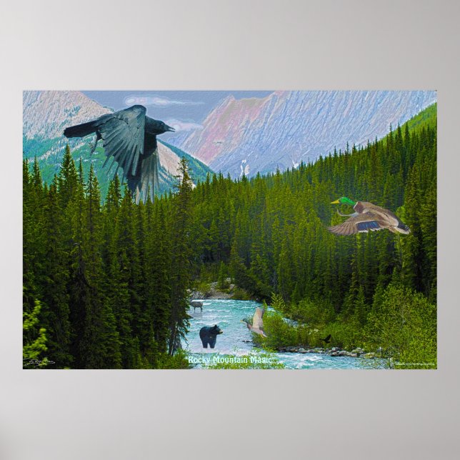 Rocky Mountain Magic Wilderness & Wildlife Art Poster (Front)