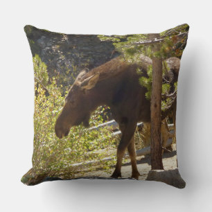 Rocky Mountain Moose Nature Photography Cushion