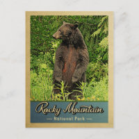 Rocky Mountain National Park Bear Vintage