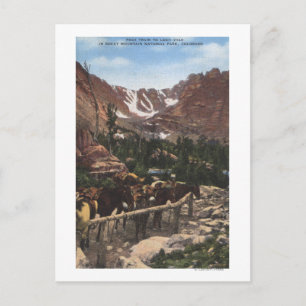 Rocky Mountain National Park, CO Postcard